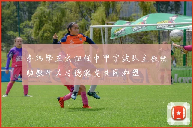 李玮锋正式担任中甲宁波队主教练助教牛力与德寇克共同加盟