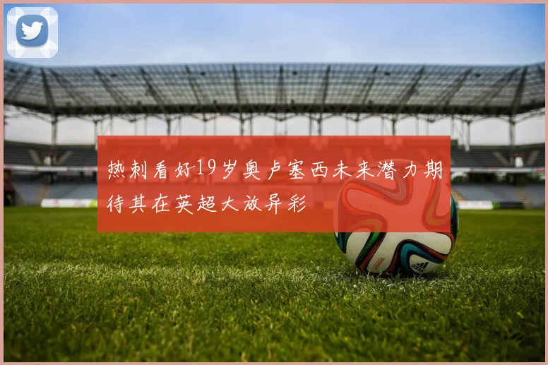 热刺看好19岁奥卢塞西未来潜力期待其在英超大放异彩