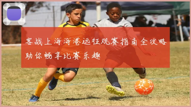 客战上海海港远征观赛指南全攻略助你畅享比赛乐趣