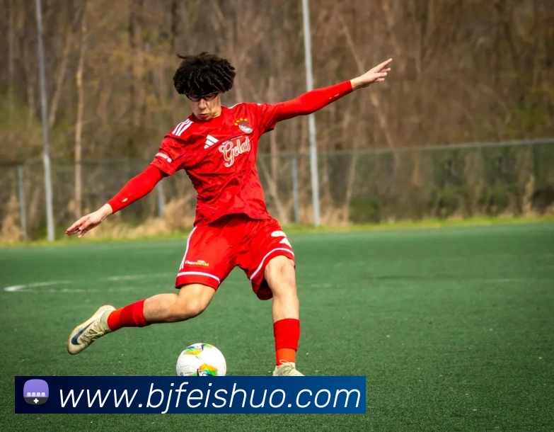 mksports在线登录入口APP 封面图